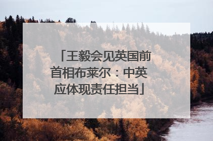 王毅会见英国前首相布莱尔：中英应体现责任担当